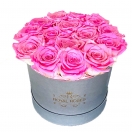 15-"Baby pink" roosiga hall karp