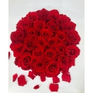 27- punase roosiga karp