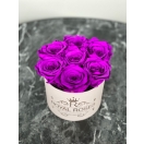 7- lillaka roosiga karp