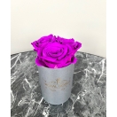 3-lillaka roosiga karp