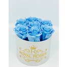 7-Baby Blue roosiga karp 