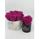 3- Velvet Plum roosiga karp