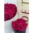 Hot Pink roosidega karp