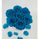 7- sinise roosiga karp